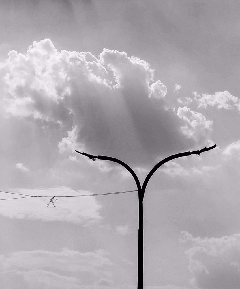 Photograph by ANKIT Sagar