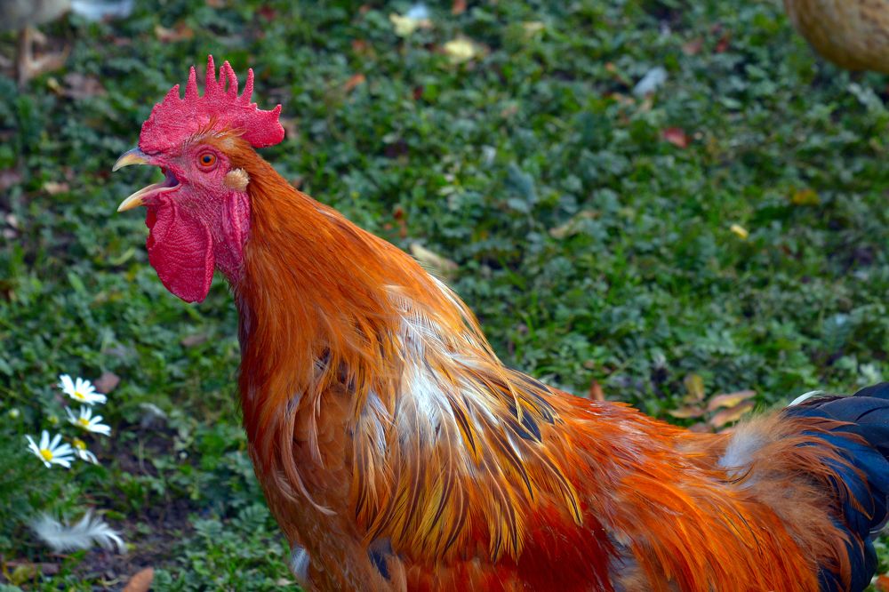 Photograph by Владимир Лосман