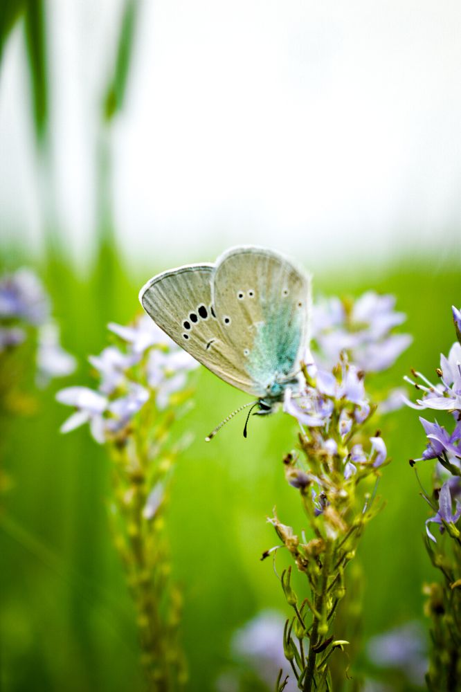 Photograph by Кирилл Романов