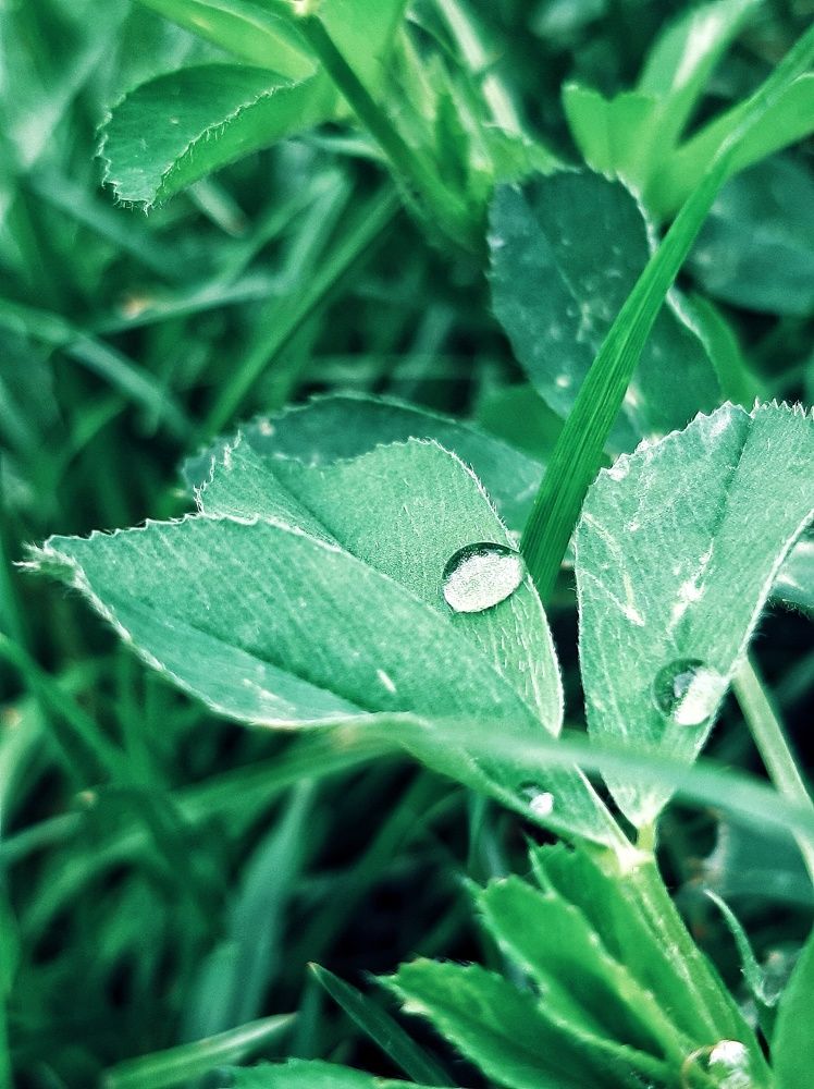 Photograph by Оксана Паляница