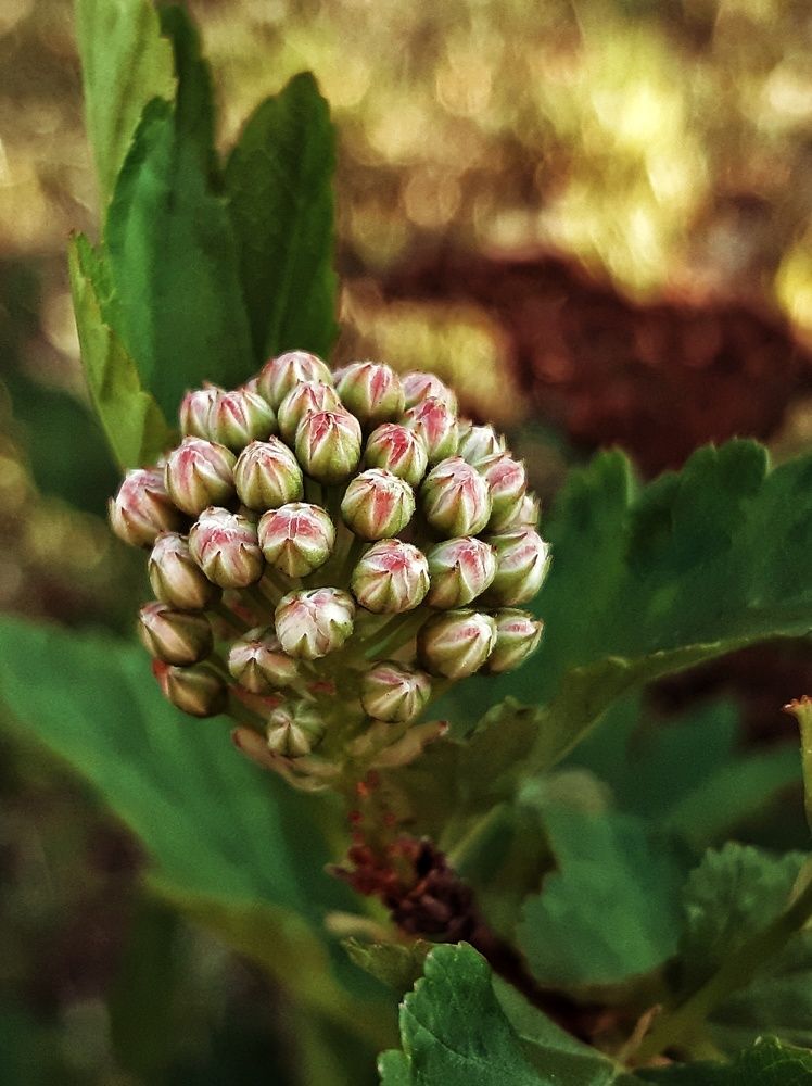 Photograph by Оксана Паляница