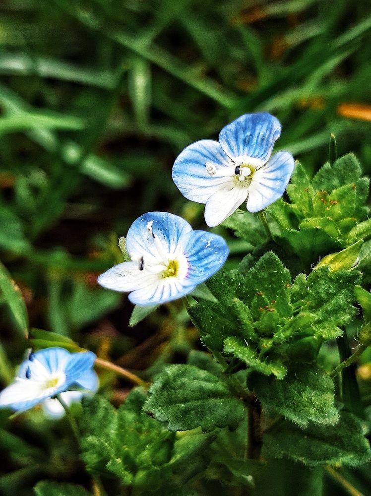 Photograph by Оксана Паляница