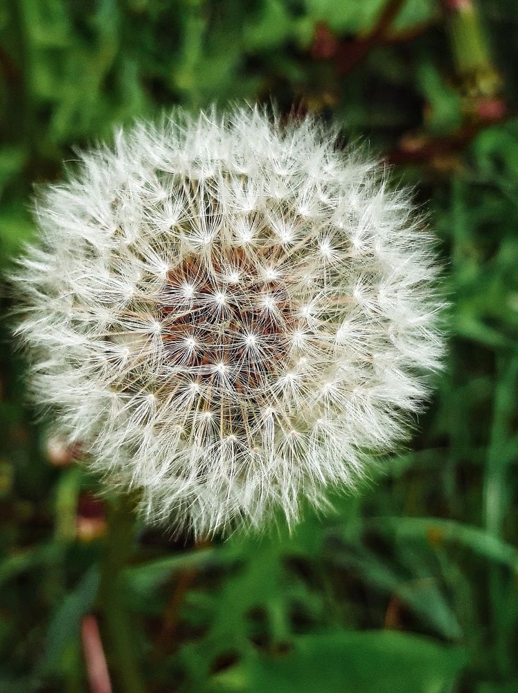 Photograph by Оксана Паляница