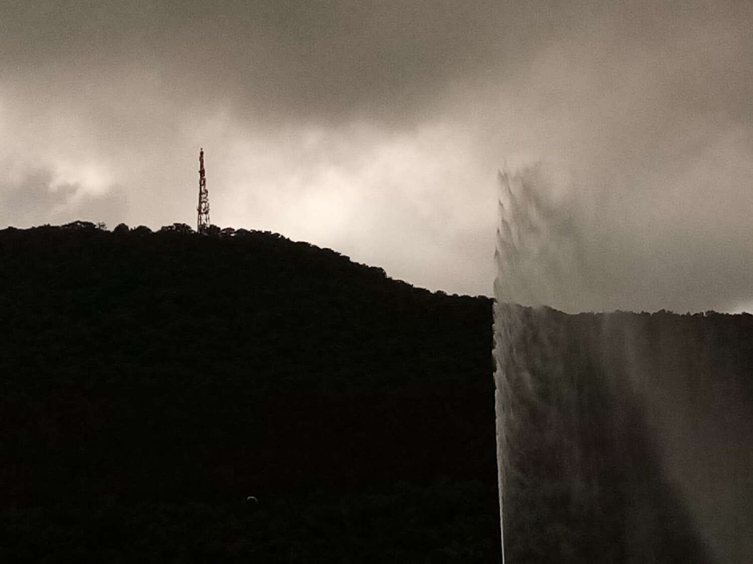 Photo #6123947