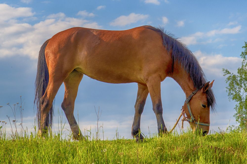 Photograph by Владимир Лосман