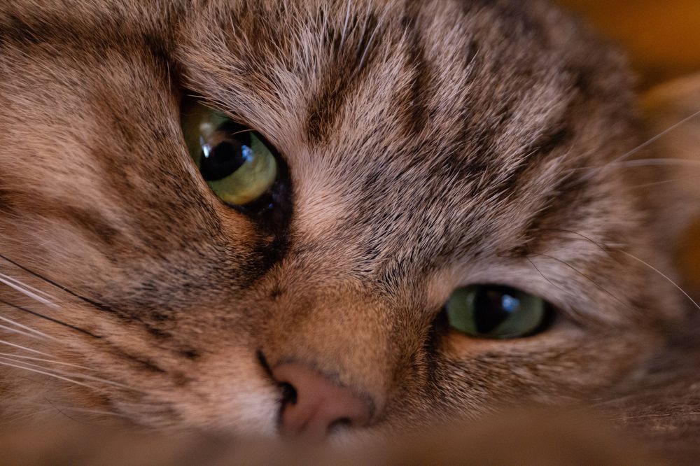 Photograph by Наталья Рябоконенко