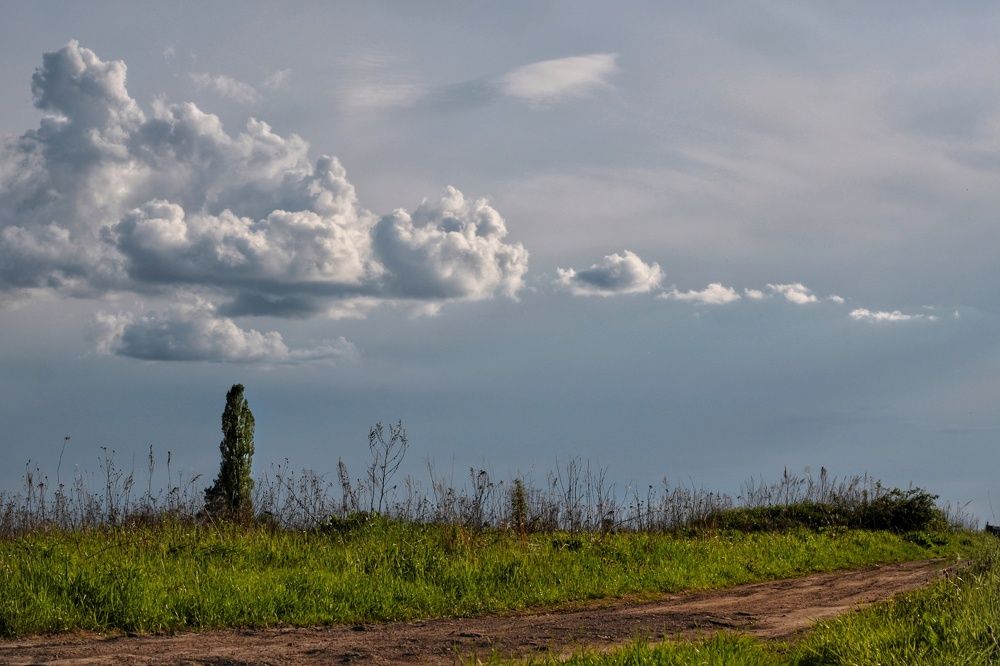 Облачный вектор
