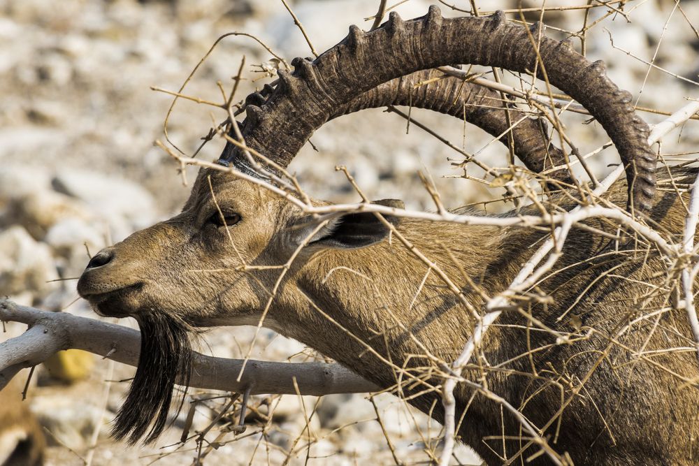 Photograph by Андрей Иванов