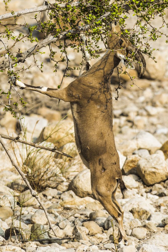 Photograph by Андрей Иванов