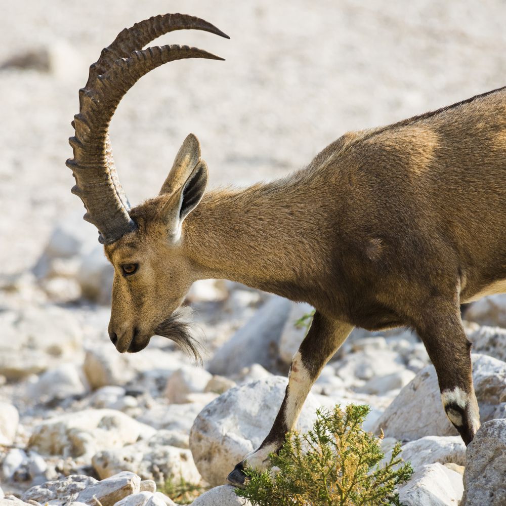 Photograph by Андрей Иванов