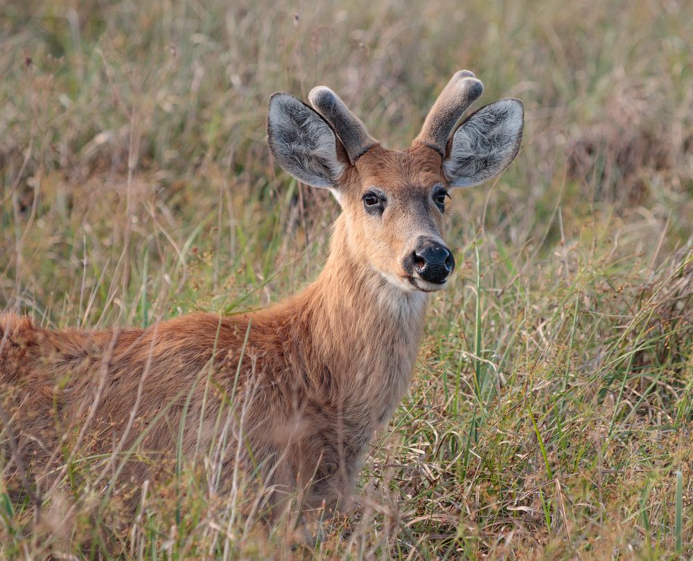 Photograph by MARÍA CECILIA REY