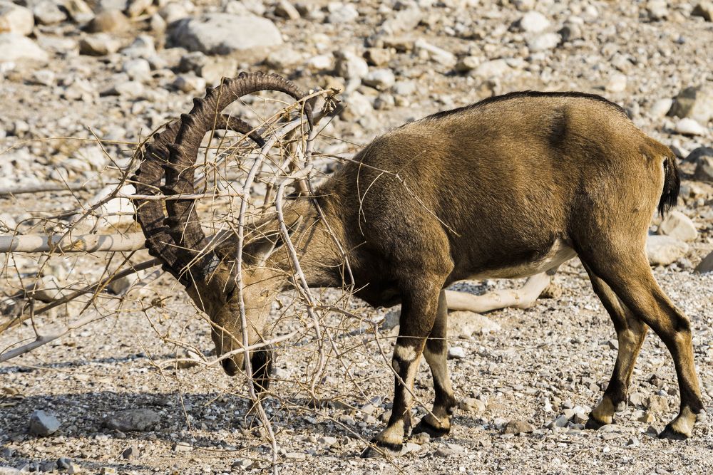 Photograph by Андрей Иванов
