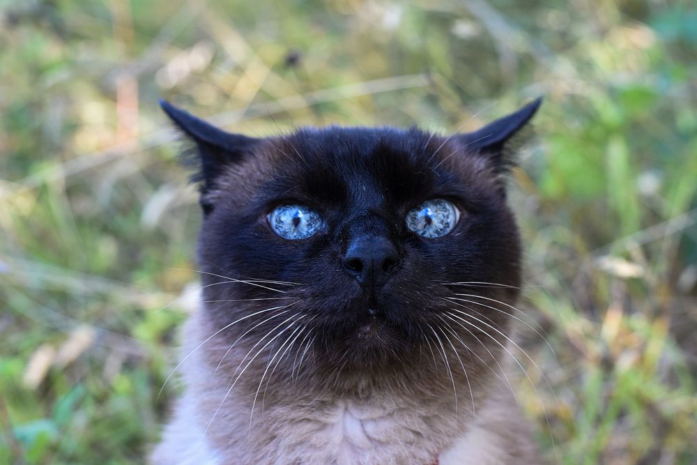 Фотография автора Варвара Сосновская