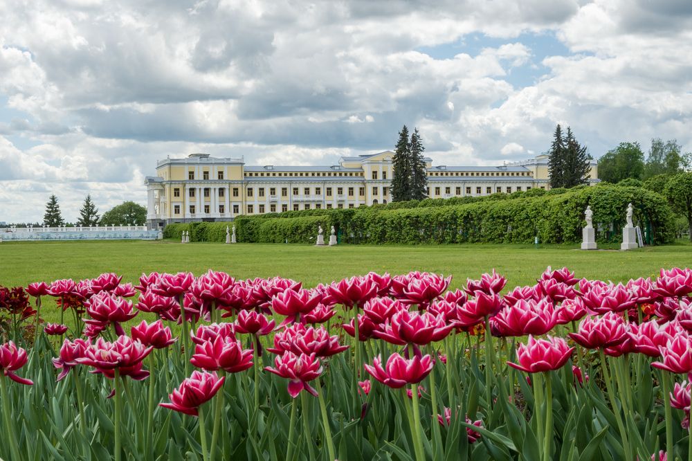 Photograph by Валерий Петухов