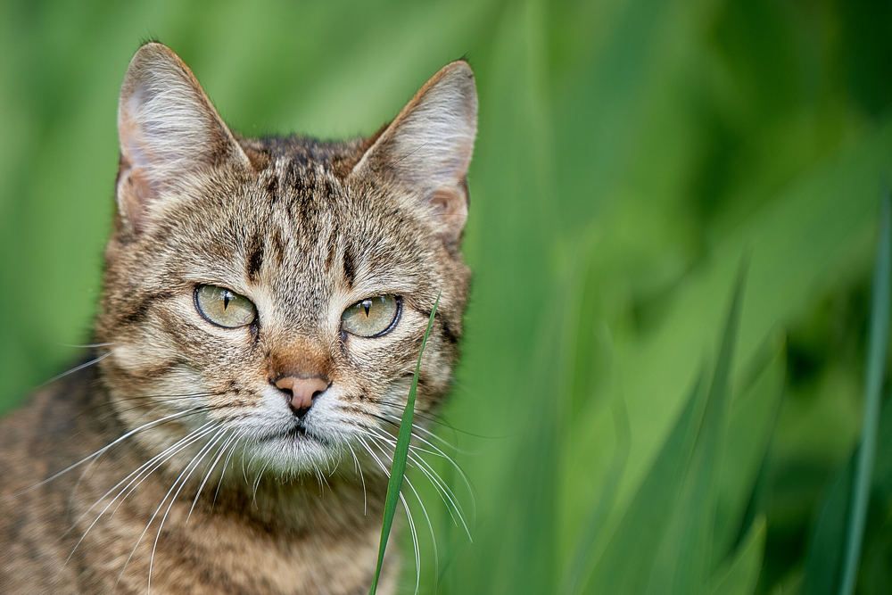 Photograph by Андрей Халемонец