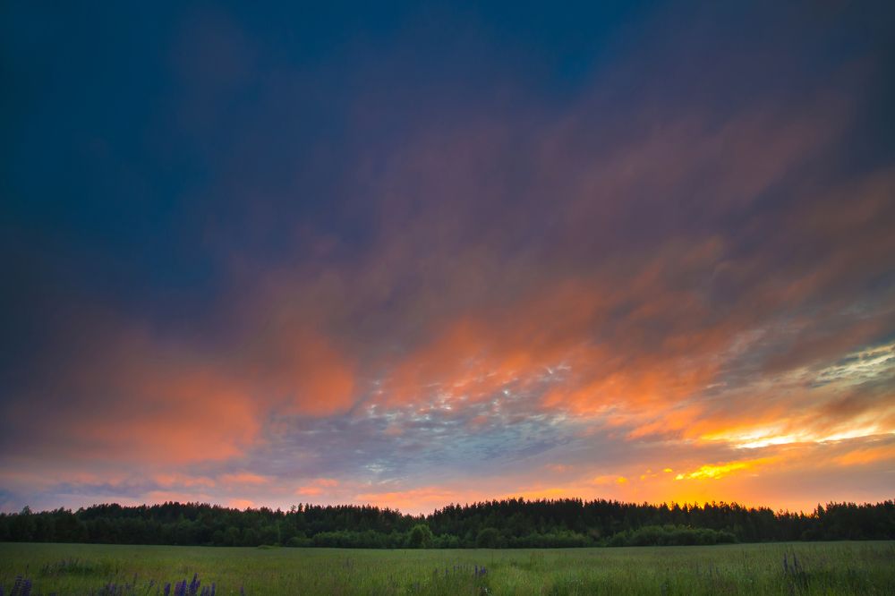 Photograph by Елена Фокина