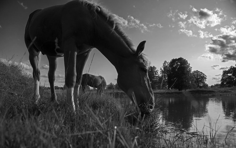 Фотография автора Владимир