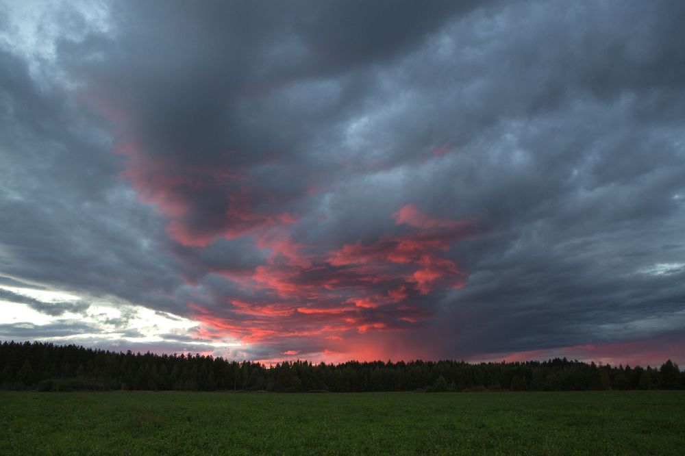 Photograph by Елена Фокина