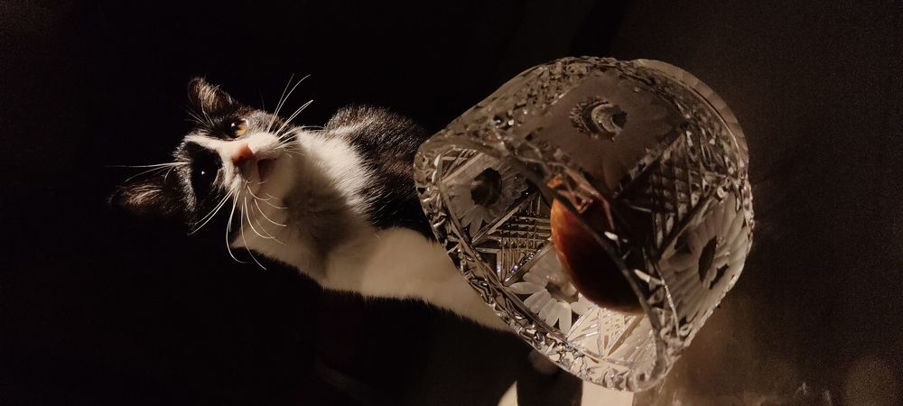 Photograph by Евгения Юдина