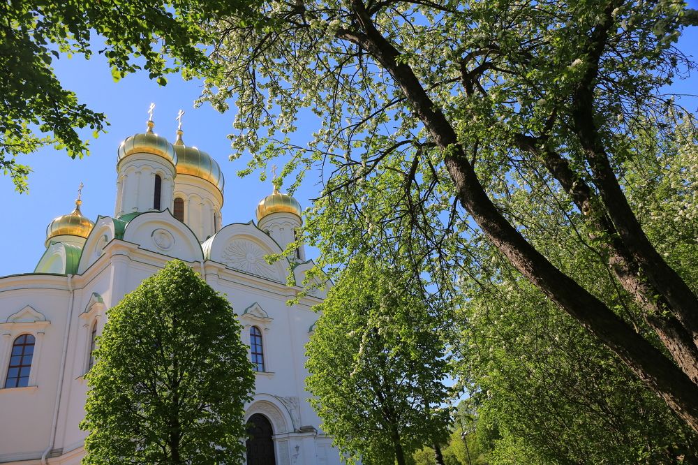 Photograph by Николай Бакулин