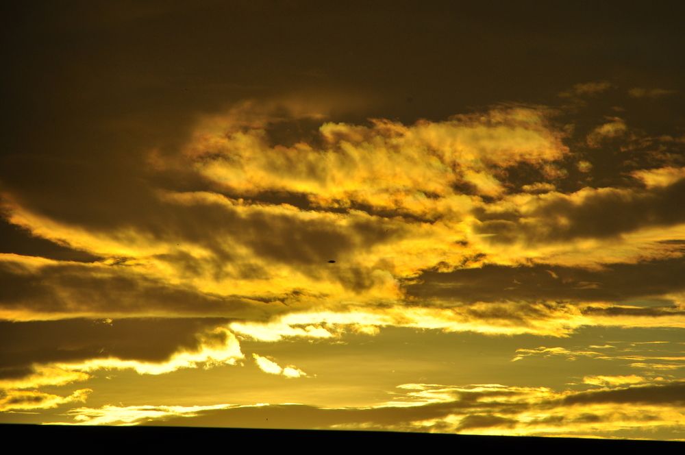 Photograph by Заурбек Шахмурзаев