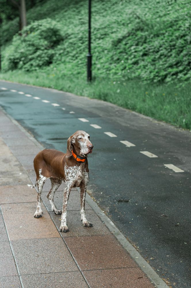 Photograph by Nataly Mayak