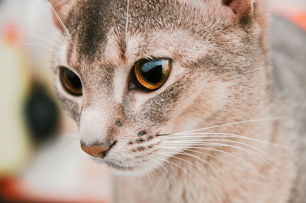 Photograph by Nataly Mayak