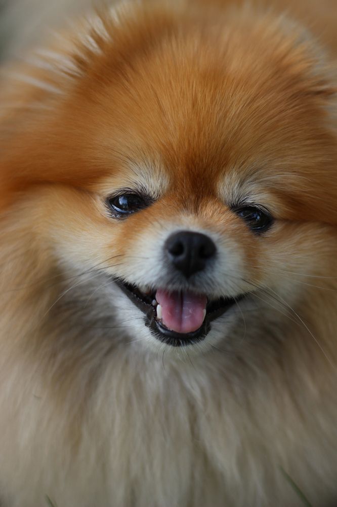 Photograph by Алеся Маклакова