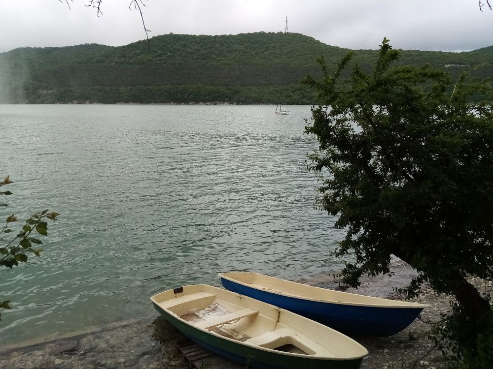 Photo #6124365