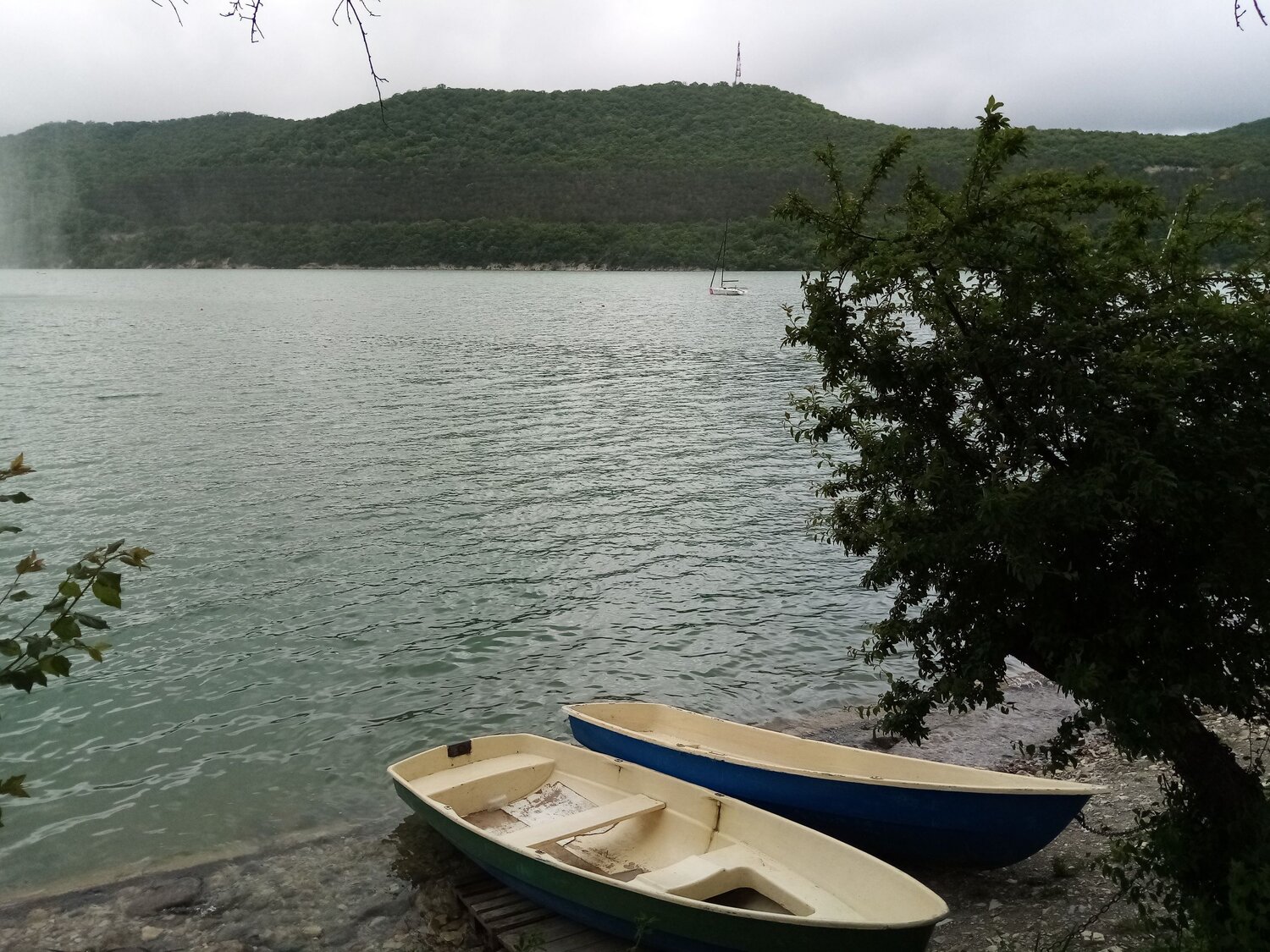 Photo #6124365