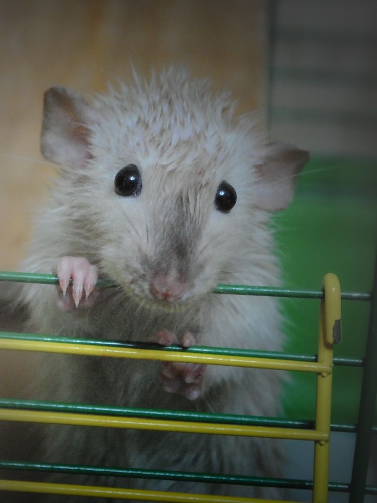 Photograph by Татьяна Сытова