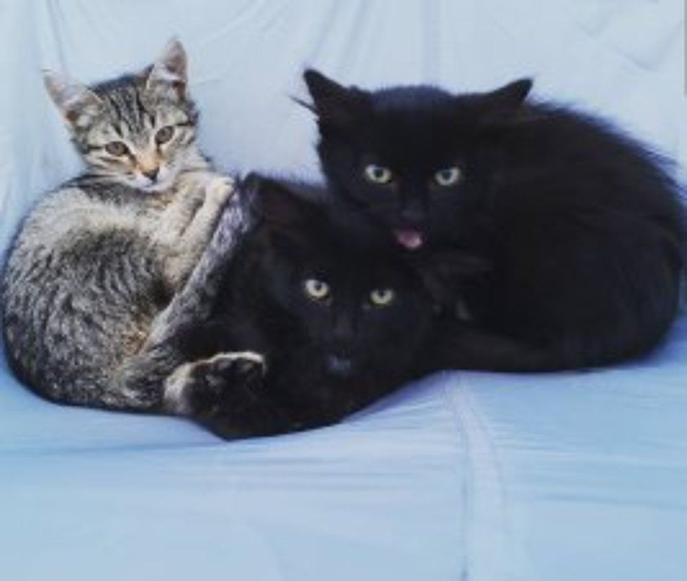 Photograph by Tatiana Denisova