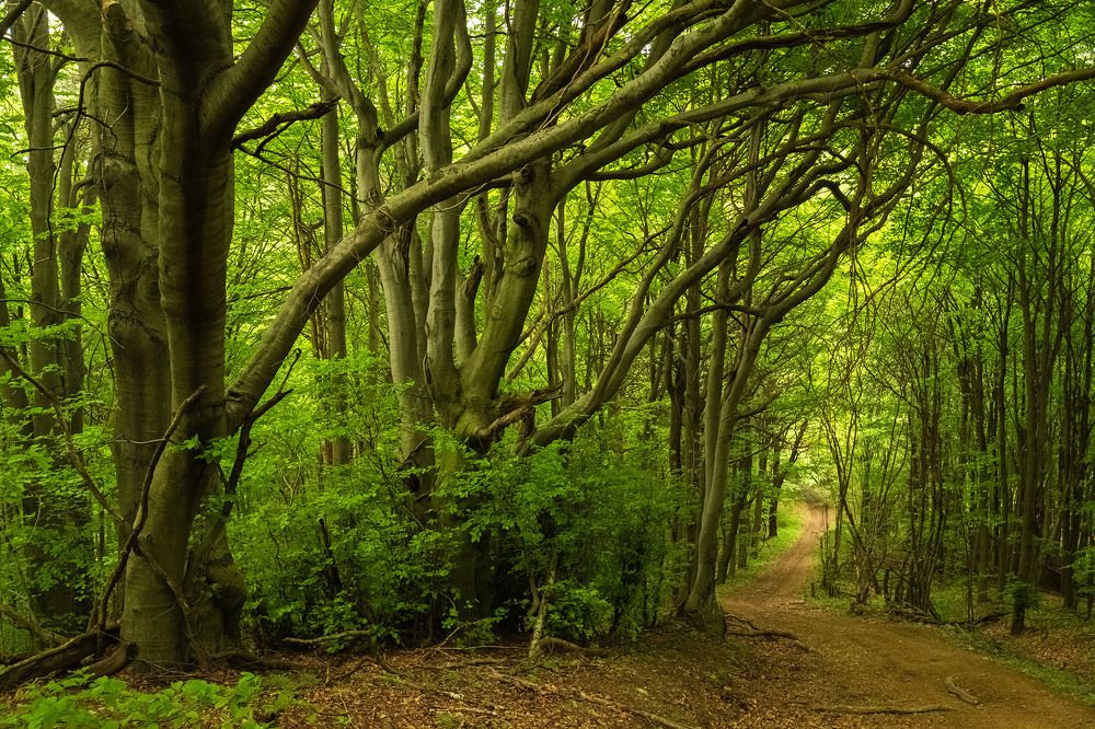 Photograph by Peter Babej