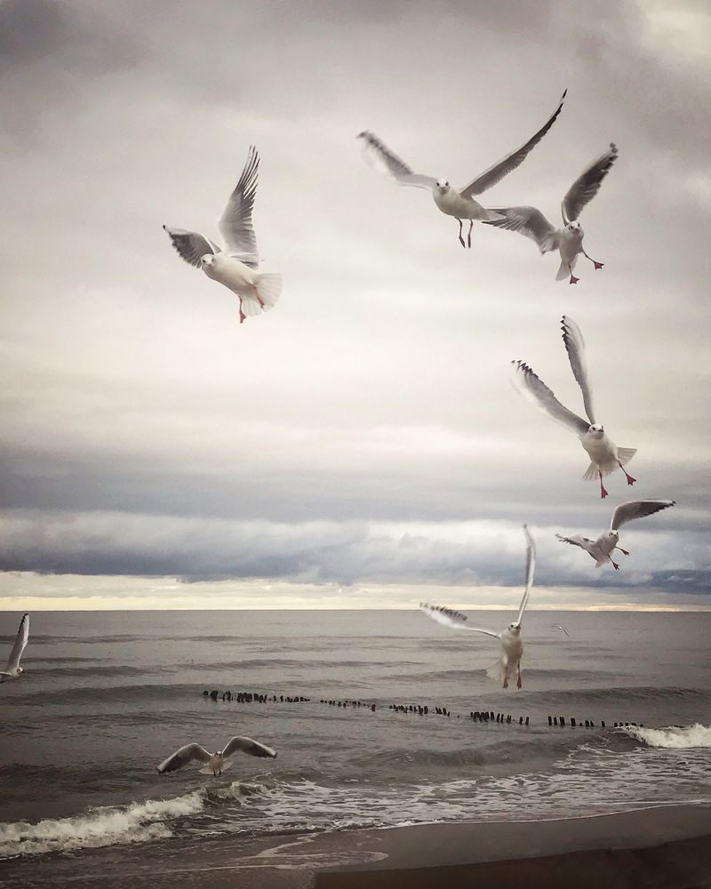 Photograph by Елена Юркевич