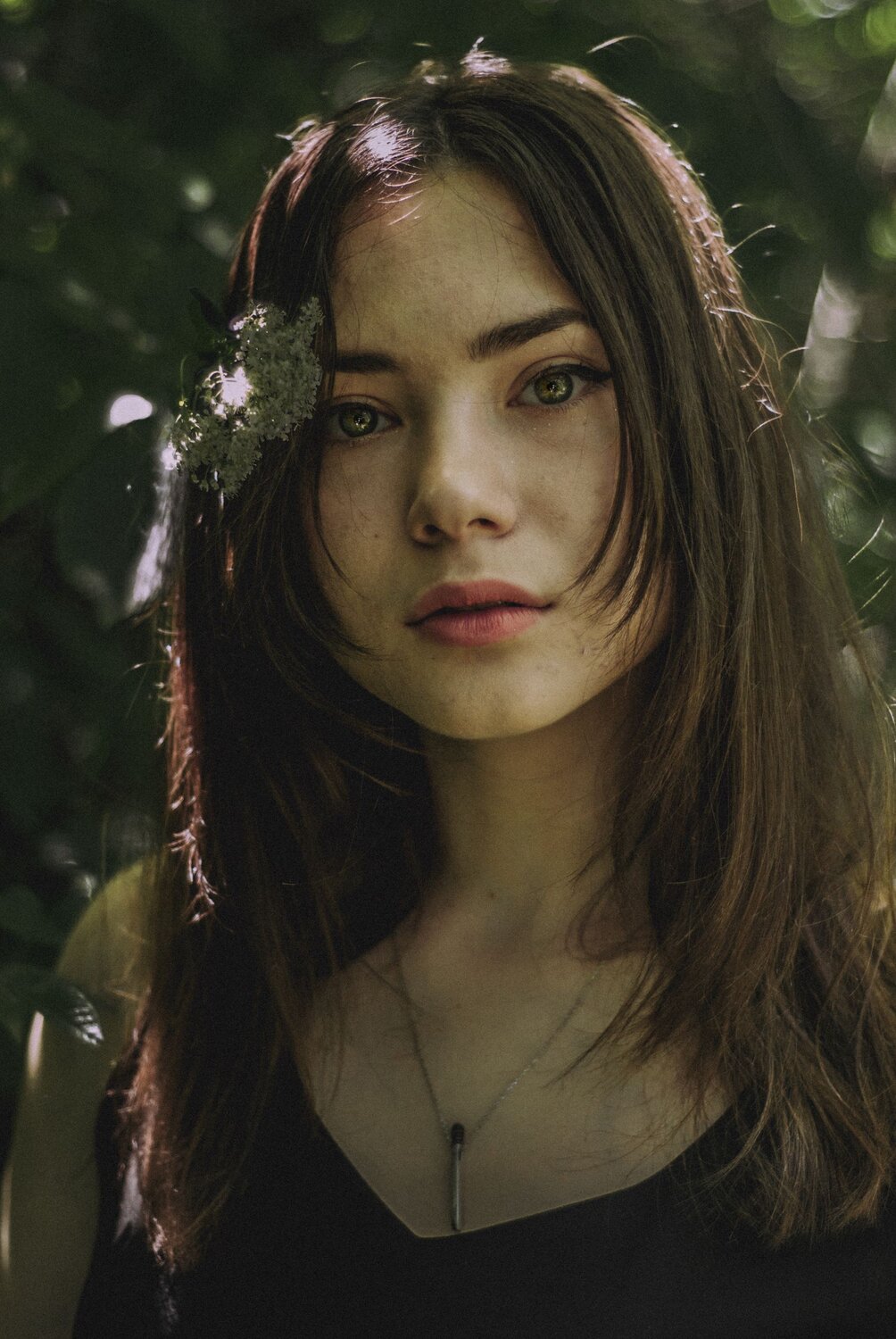 Photo #6124531