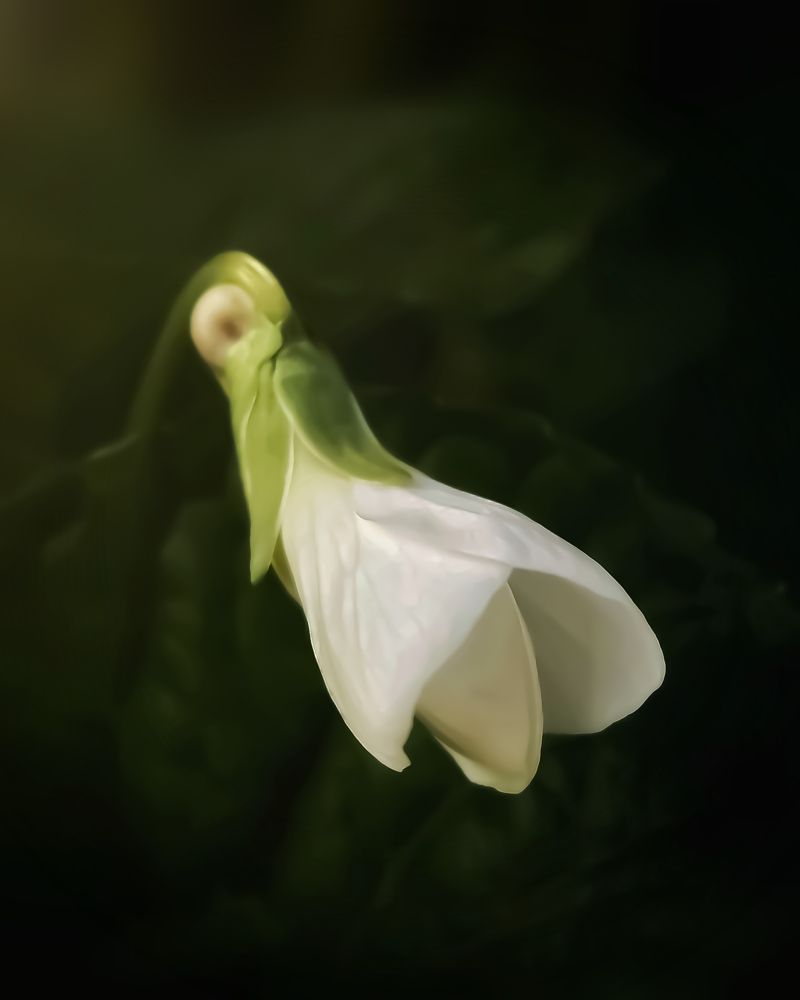 Photograph by Алексей Копылов