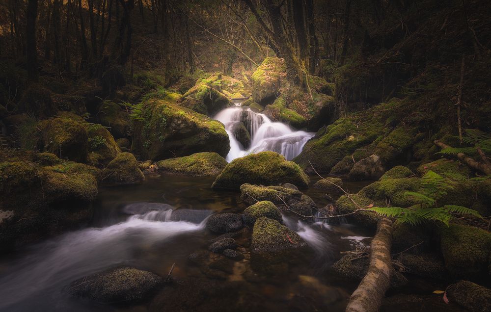 Relaxing into the wood