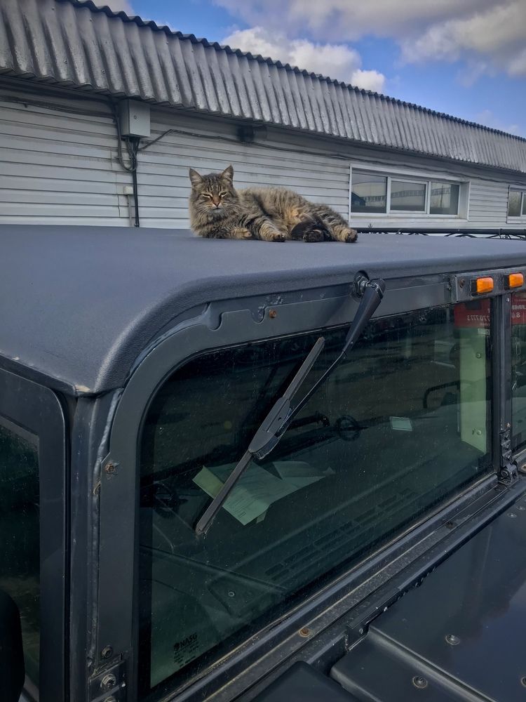 Photograph by Михаил Некрасов