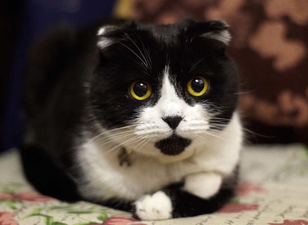 Photograph by Николай Зернов