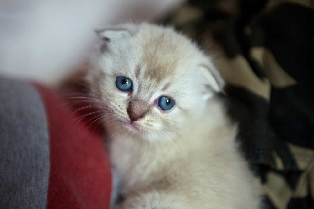 Photograph by Николай Зернов