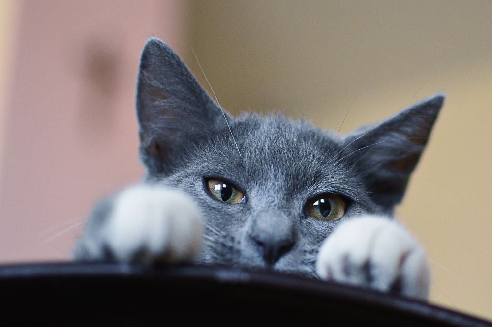 Photograph by Антон Шаркас