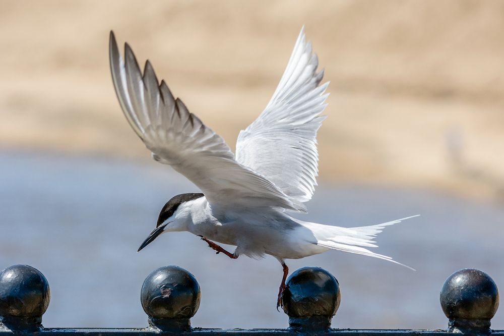 Photograph by Виктор Чернюк