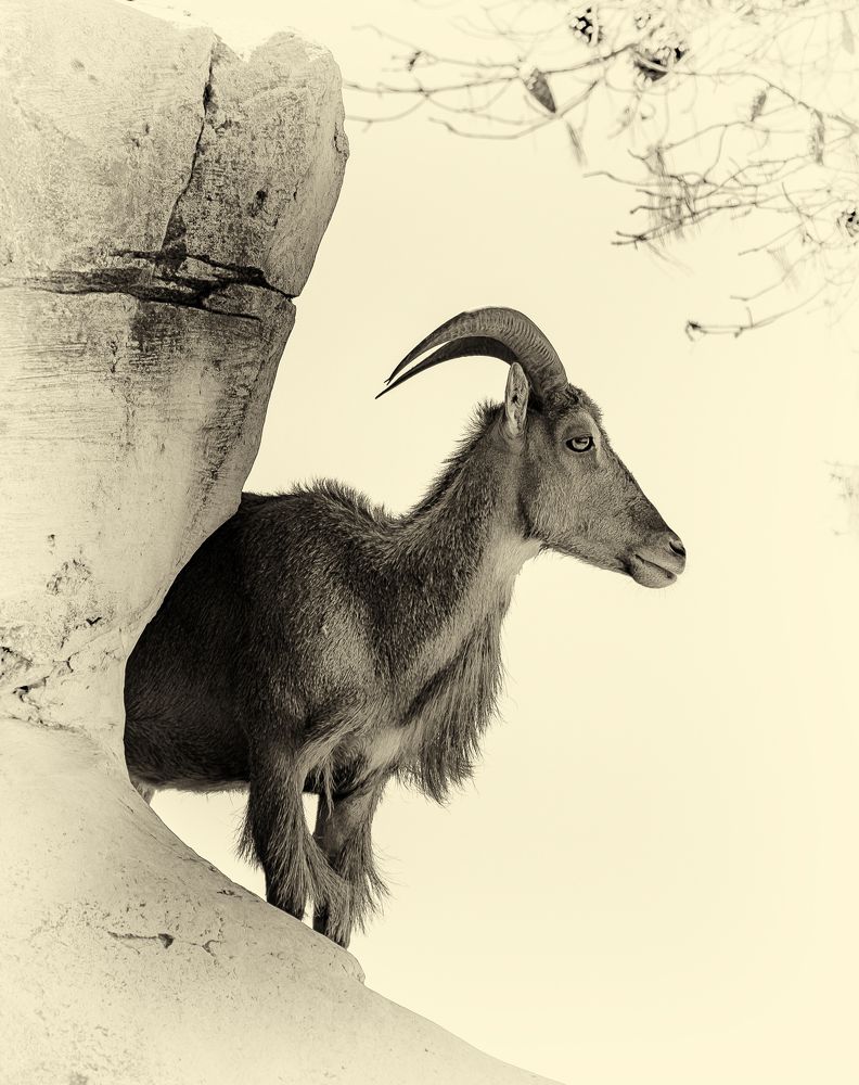 Photograph by Katja Sen