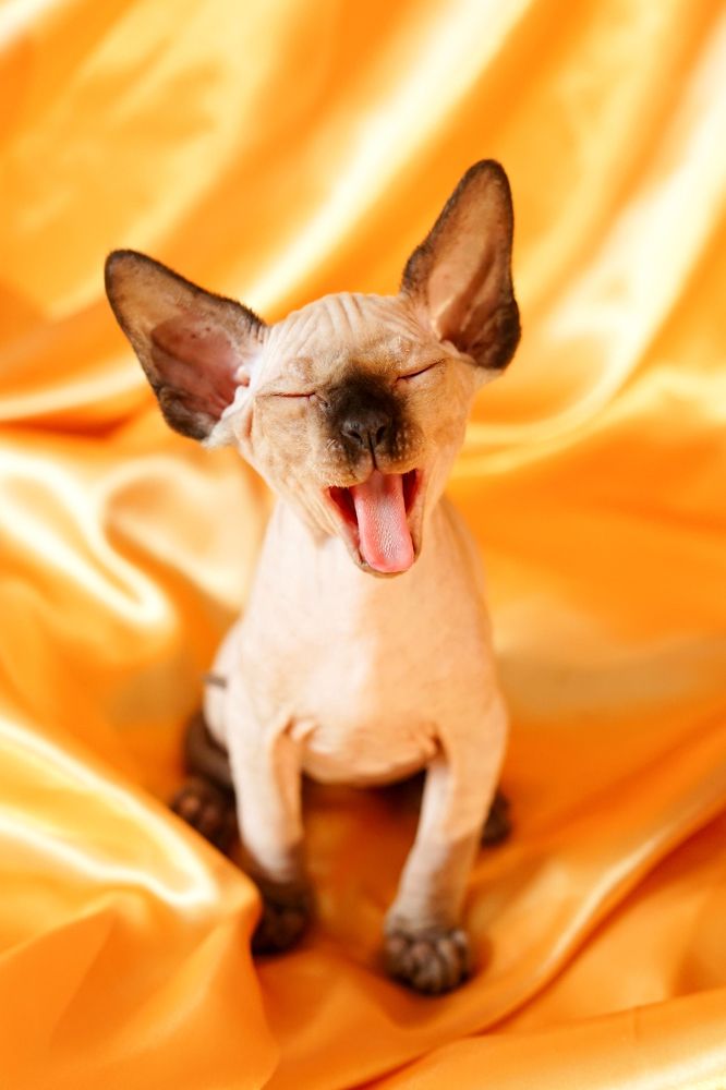 Photograph by Дарья Павленко