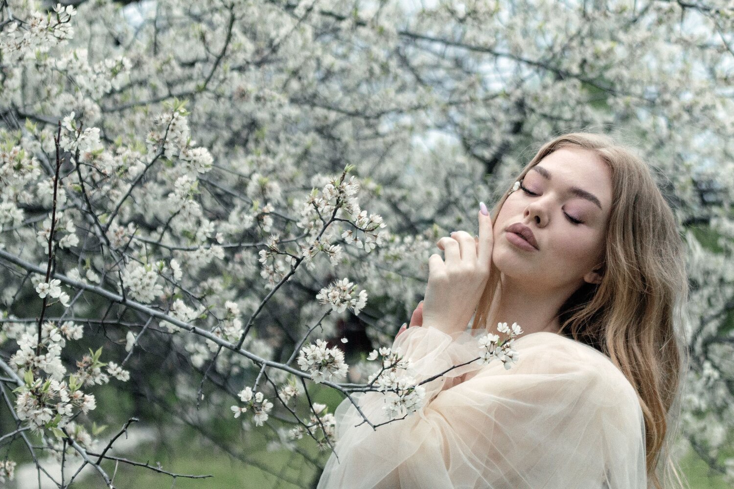 Photo #6124885