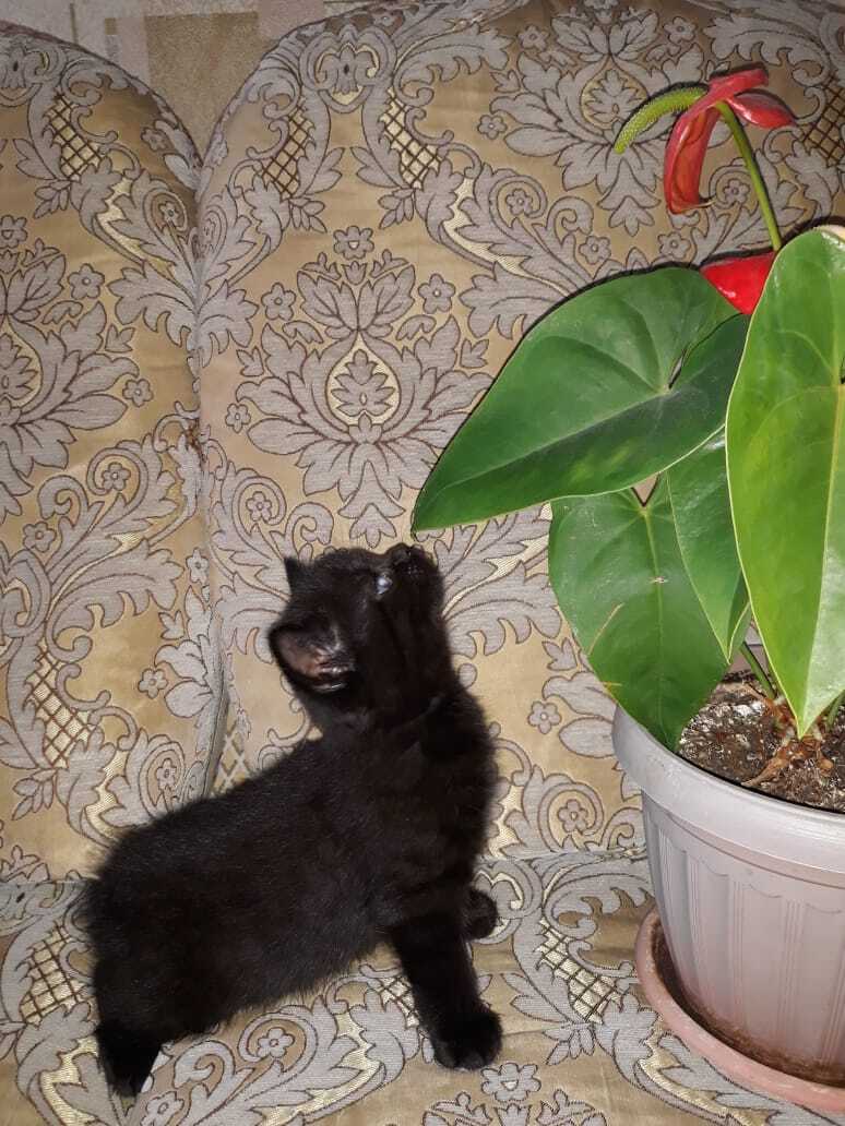Photo #6124930
