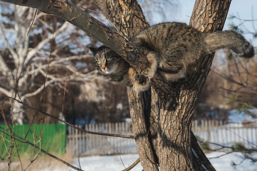 Photograph by Ирина Яук