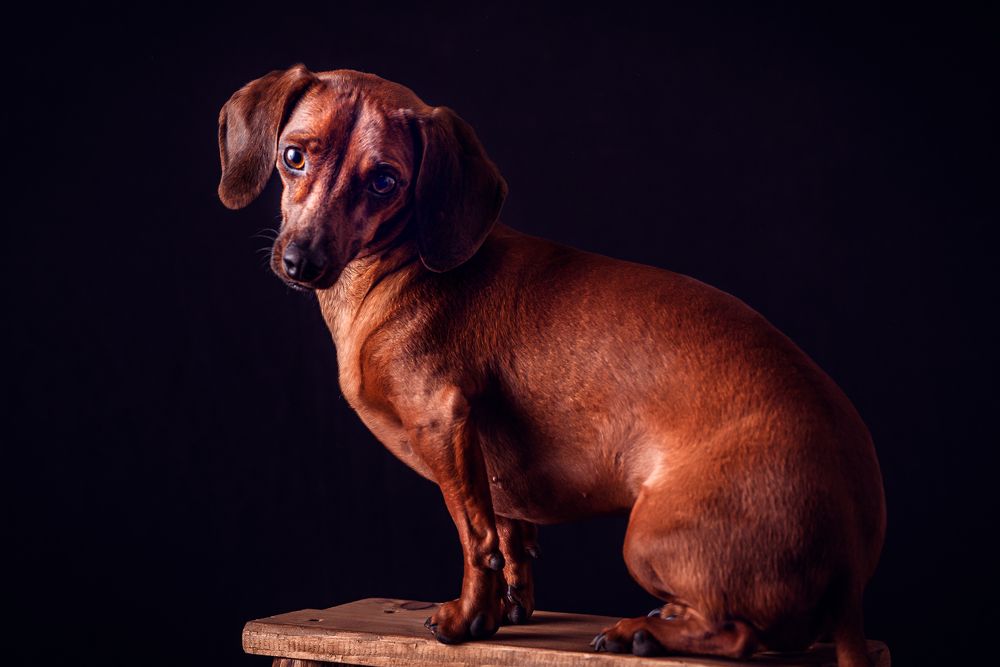 Фотография автора Ana Verdugo