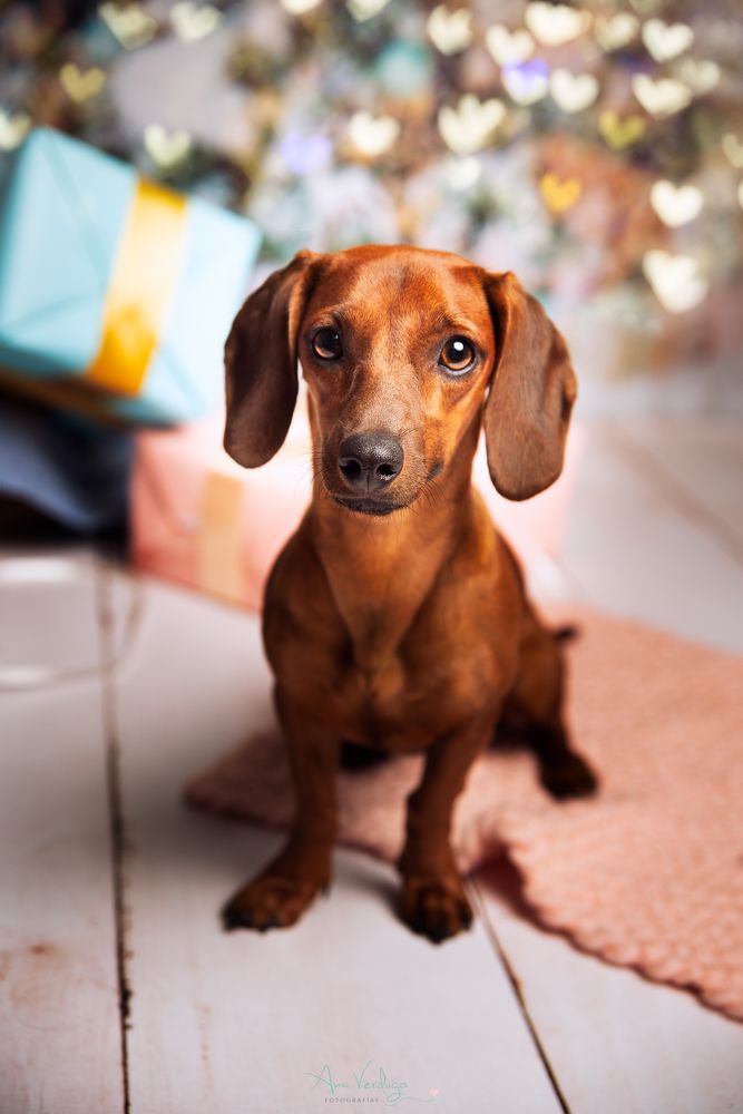 Фотография автора Ana Verdugo