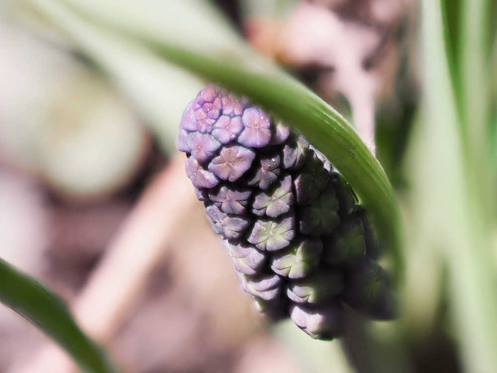 Photograph by Dmitriy